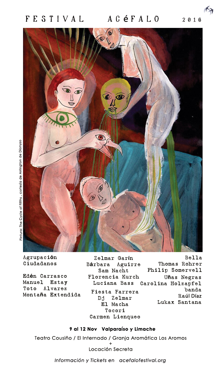 volador-acefalo-2016